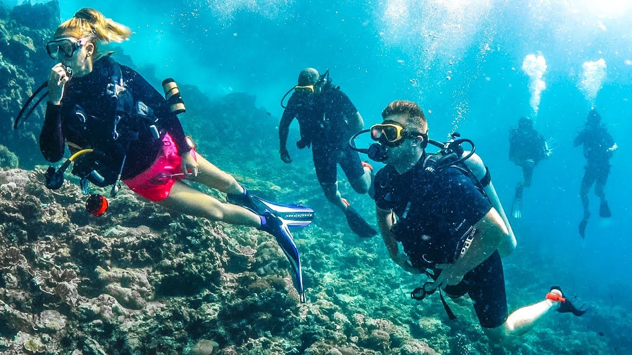 Steps to follow before a dive: how to be well prepared and enjoy a safe dive  - Diving Atlantis Tenerife